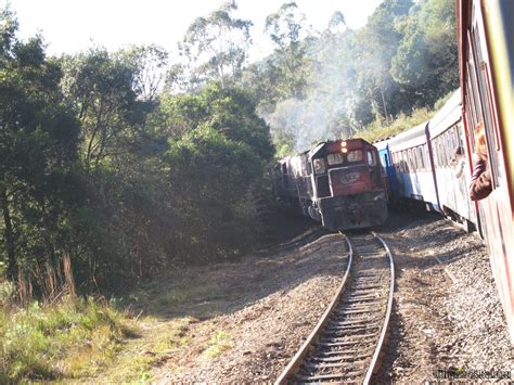 Passeio De Trem Pela Serra Do Mar Paranaense Viagens E Beleza