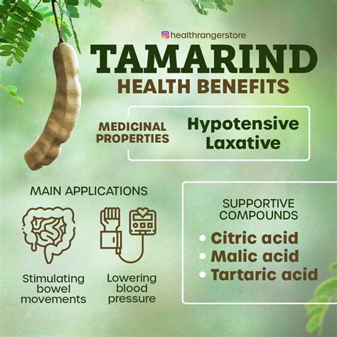 Tamarind Health Benefits | Herbs for health, Food health benefits ...