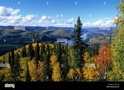 Canada: Yukon Territory Stock Photo - Alamy