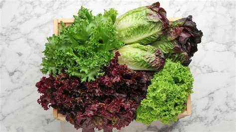 The Best Types Of Lettuce To Experiment Cooking With