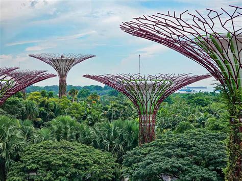 18 Lugares Que Ver En Singapur Imprescindibles Ardilla Voladora