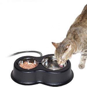 The 5 Best Heated Cat Water Bowls of 2022 - Cat Loves Best