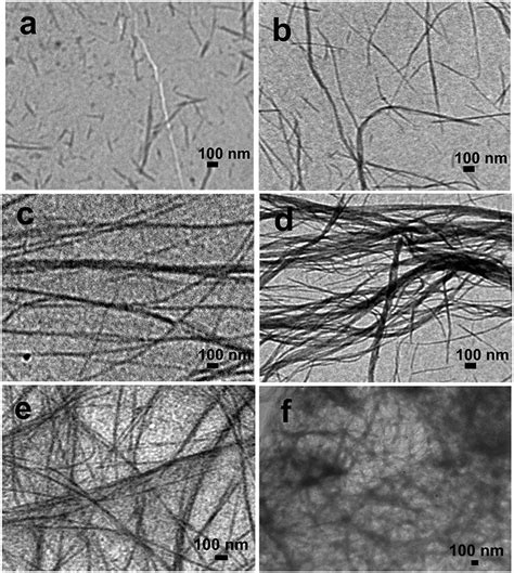 Transmission Electron Microscopy Tem Images Of Nanofiber Formation