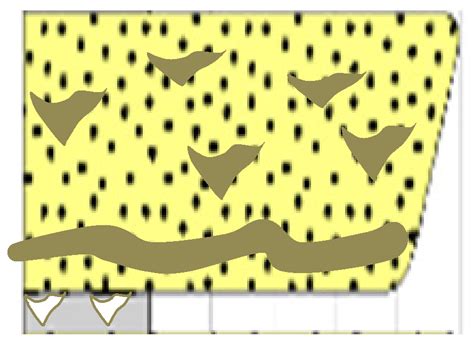 Minerals Free Full Text Sedimentology And Paleodepositional