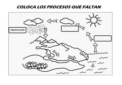 Ficha Educativa Aprender El Ciclo Del Agua