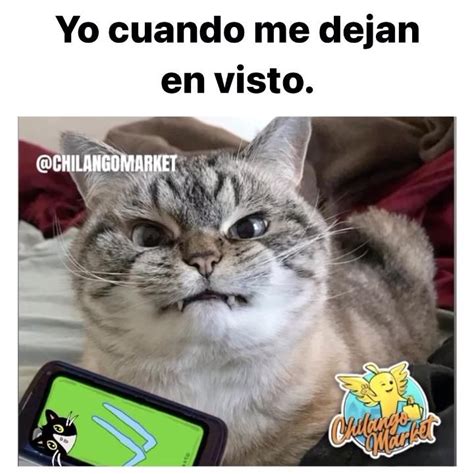 Yo Cuando Me Dejan En Visto Video Memes Divertidos Memes Kawaii