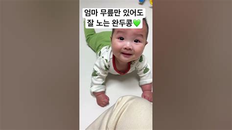 순둥이는 엄마 무릎만 있어도 잘 놀지요 생후6개월 애착무릎 Youtube