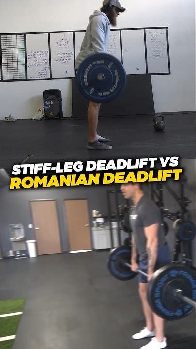 Stiff Leg Deadlift Vs Rdl Key Differences 🏋🏼‍♂️ Youtube