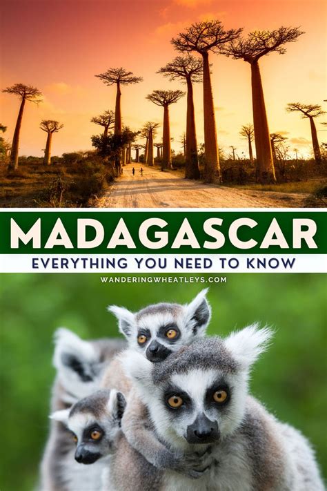 Complete Guide To Madagascar All You Need To Know Madagascar Travel