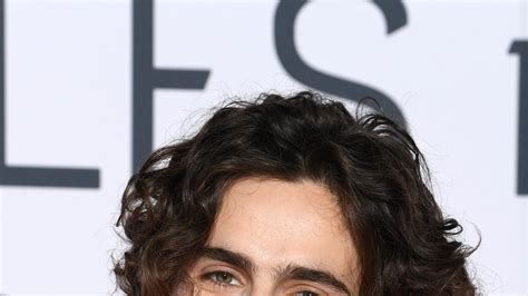 Wes Anderson’s The French Dispatch, Starring Timothée Chalamet, Will ...