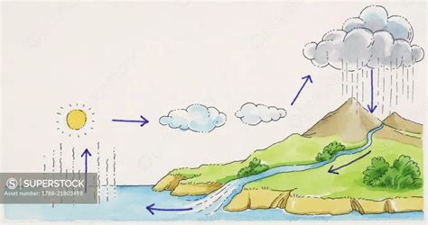 Water Cycle Diagram Evaporation Condensation Precipitation Runoff