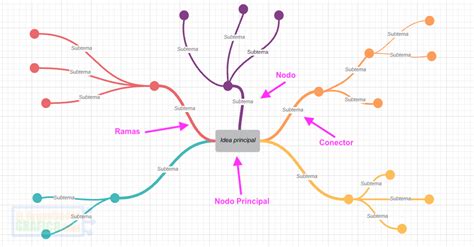 Mapa Mental Caracteristicas