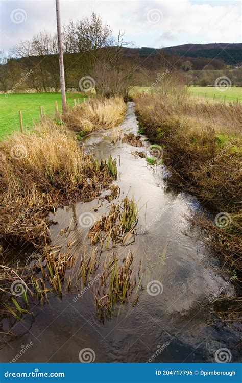 Drainage Ditch On A Farm Stock Photo Image Of System 204717796