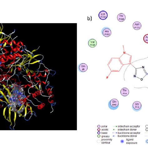 Proposed Binding Mode Of Compounds 6b With CDK1 PDB ID 4YC6 A