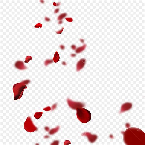 Rose Petals Falling Png Picture Creative And Beautiful Red Romantic