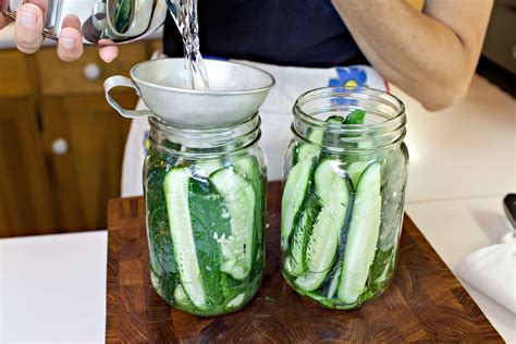 Fermented Cucumber Pickles