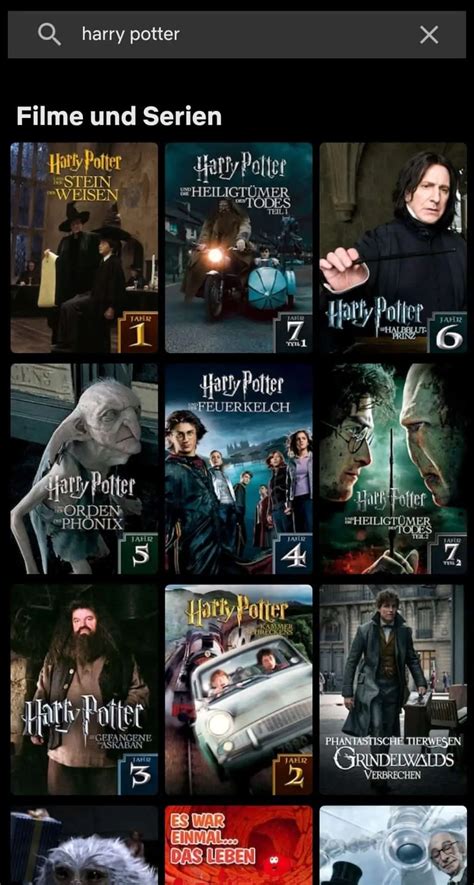 How To Watch Harry Potter On Netflix Top Sellers Bellvalefarms