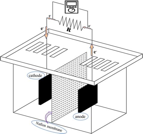 Schematic Diagram Of The Two Chamber Microbial Fuel Cell Setup Download Scientific Diagram