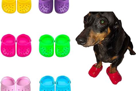 Crocs For Dogs Yes They Really Are A Thing