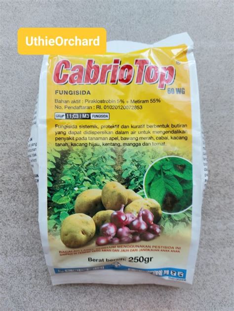 Jual Cabrio Top 60 WG Fungisida 250 Gr Kota Tangerang