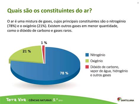 Por Que O Ar É Importante - a importancia do ar para os seres vivos.pptx