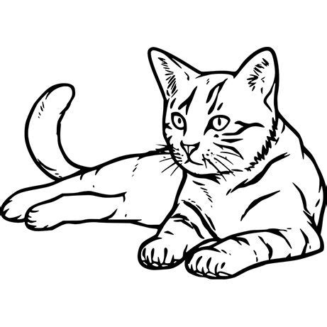 500 Internal Server Error | Cat drawing, Animal drawings, Cat tattoo