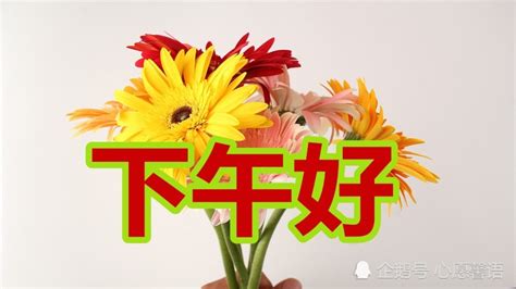 下午好祝福图片大全 下午好带字的图片 伤感说说吧