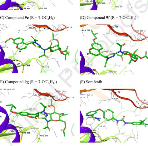 The 3d Interactions With Her2 Of Selected Compounds 9a 9c 9d 9f And 9g Download Scientific