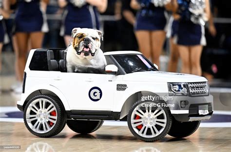 The Georgetown Hoyas mascot performs during the game against the ...