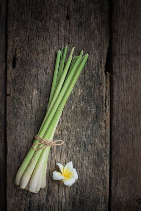 Thai Food, Lemongrass, Lemongrass Stock Image - Image of lemongrass ...