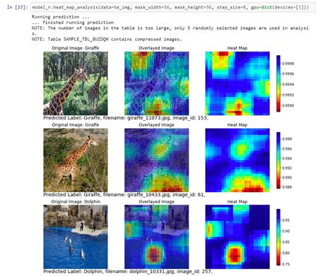 Sas Deep Learning Python Sas Support