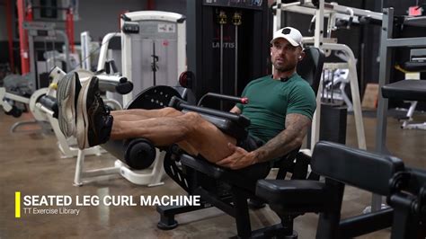 Seated Leg Curl Machine - The True Transformation