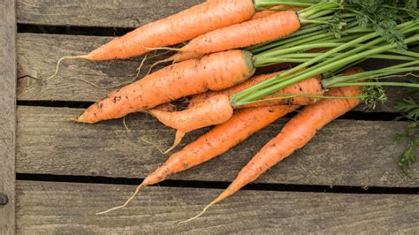 L Origine De Ces Fameuses Expressions Les Carottes Sont Cuites