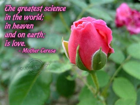 Love Science Quotes. QuotesGram