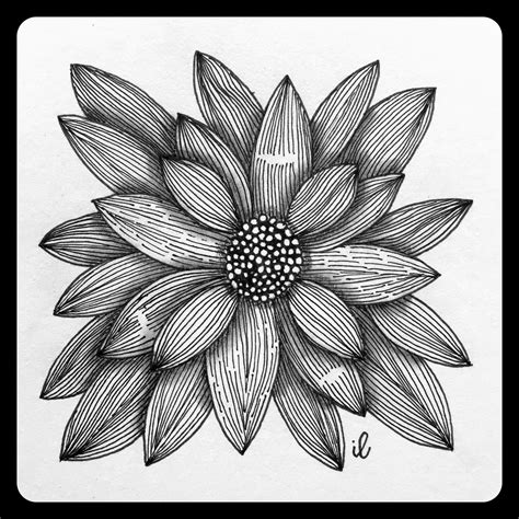 Zentangle Flower Zentangle Ilse Flickr