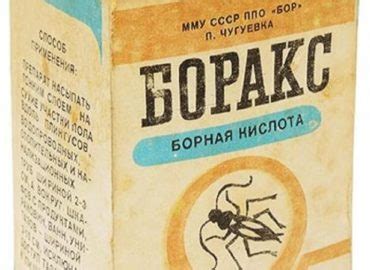 Какой порошок от тараканов выбрать? Обзор средств