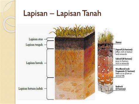 Detail Gambar Struktur Lapisan Tanah Koleksi Nomer 38