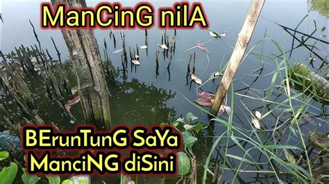 Spot Mancing Nila Sangat Beruntung Mancing Disini Spot Mancing