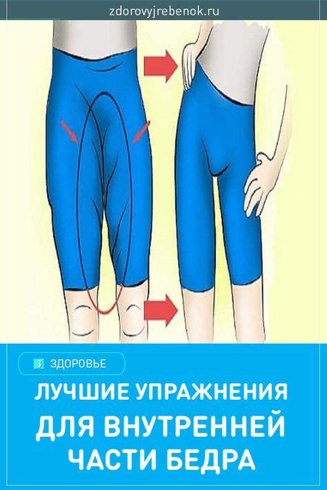 Внутренняя часть бедра где находится фото