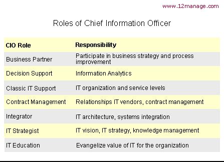 Chief Information Officer Summary and Forum - 12manage