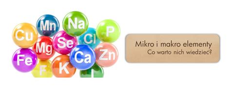 Mikro i makro elementy co warto o nich wiedzieć