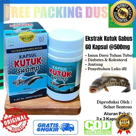 Kapsul Ekstrak Ikan Kutuk Kapsul Pro Albumin Fit Extrak Kutuk