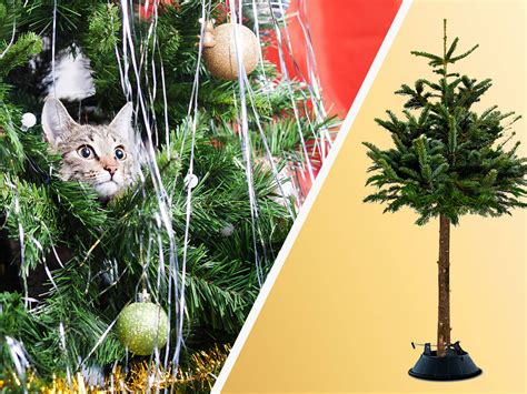 16 Genius Ways To Protect Your Christmas Trees From Cats 60 Off