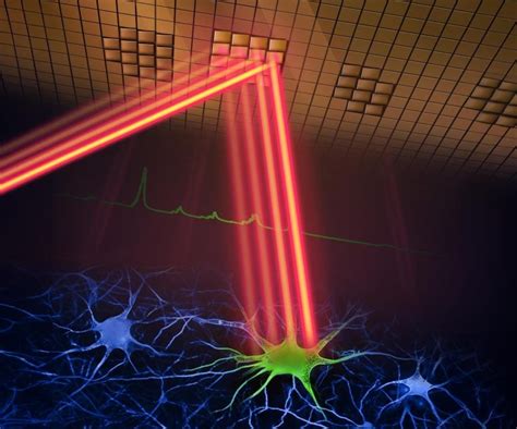 Revolutionary Two Photon Microscope Captures Brain Activity In Real Time