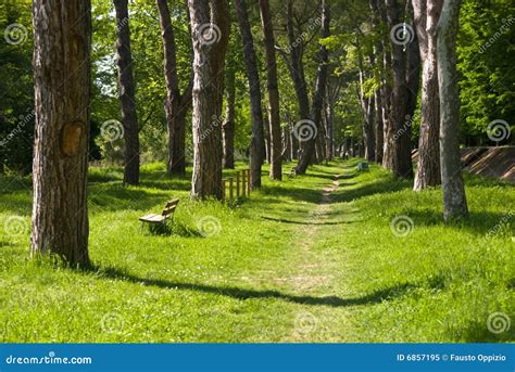 Italian Park Picture. Image: 6857195