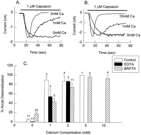 The Role Of Calcium In The Desensitization Of Capsaicin Responses In