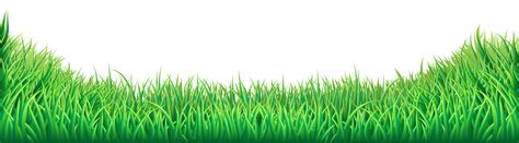 Collection Of Grass Hd Png Pluspng