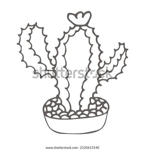 Hand Drawn Cactus Outline Icon Doodle Stock Vector Royalty Free