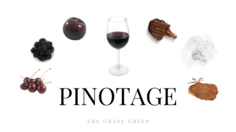 All You Need to Know About Pinotage: A Quick Guide | The Grape Grind