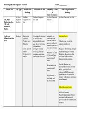 NSG120 Week 5 Hematology DTG Docx Hematology System Diagnostic Test